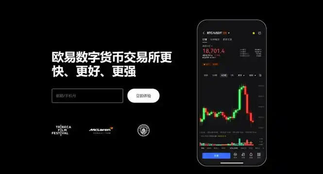 欧yi交易平台平台展示图